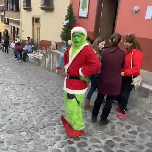  El Grinch ✨💚(tiktok) preview
