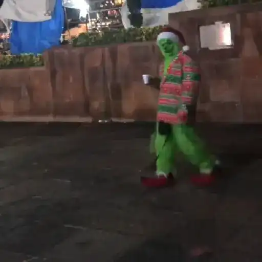  El Grinch ✨💚(tiktok)
