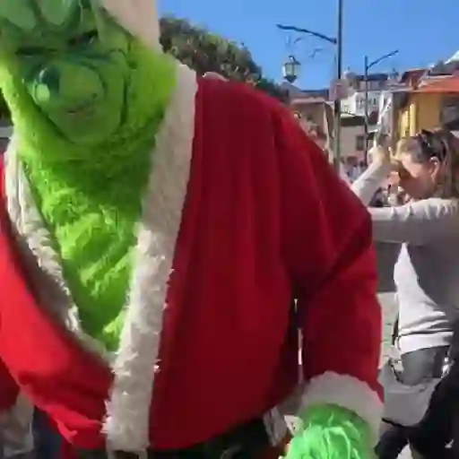  El Grinch ✨💚(tiktok)
