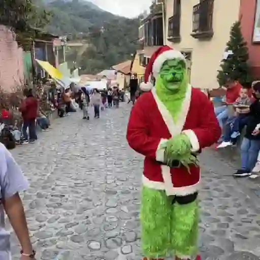  El Grinch ✨💚(tiktok)