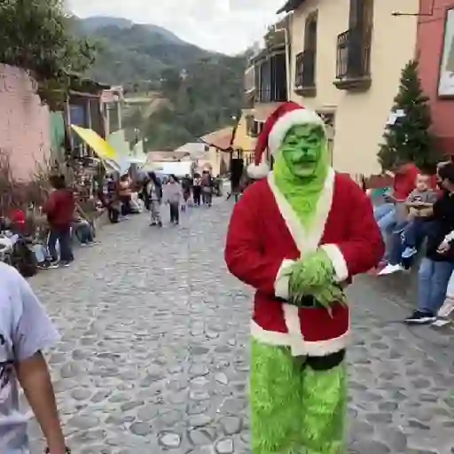  El Grinch ✨💚(tiktok)