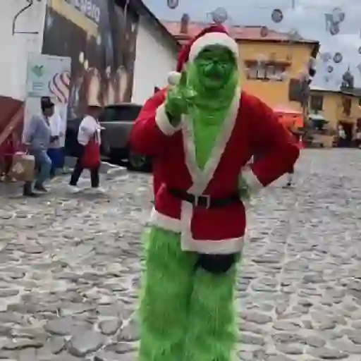  El Grinch ✨💚(tiktok)