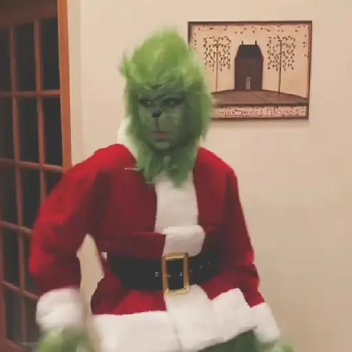  El Grinch ✨💚(tiktok)