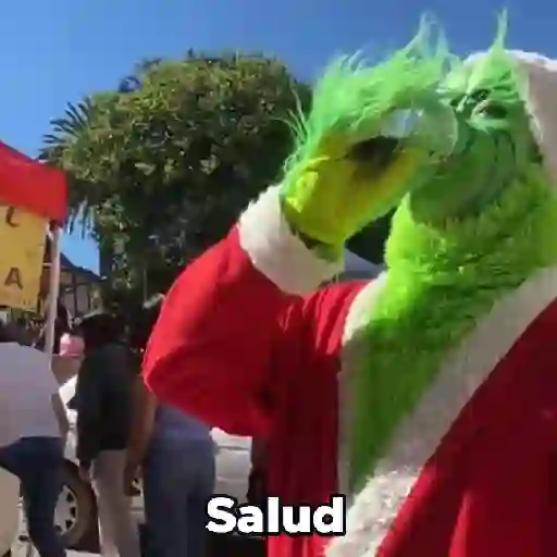  El Grinch ✨💚(tiktok) preview