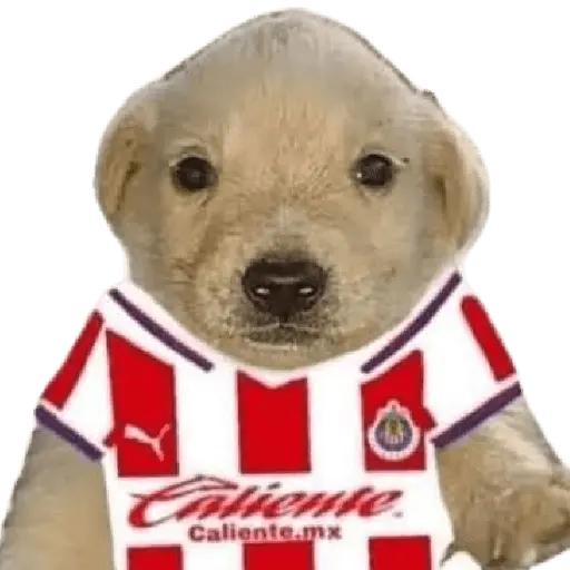 Chivas Fútbol Memes 🐐⚽️🐐