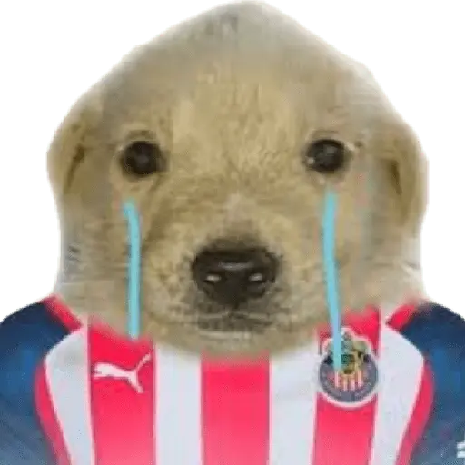 Chivas Fútbol Memes 🐐⚽️🐐