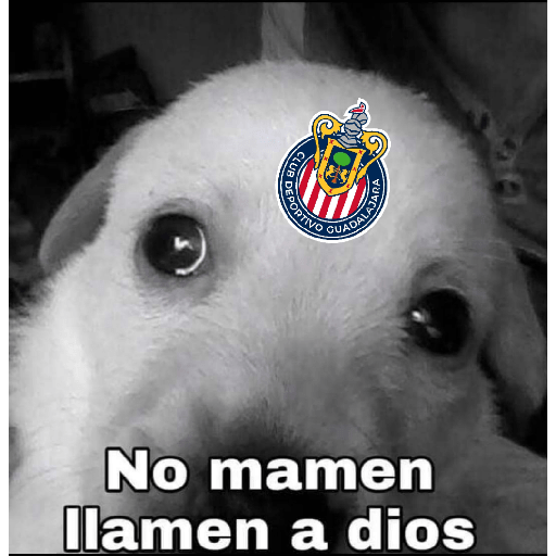 Chivas preview