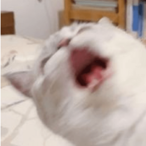 Kucing Random preview