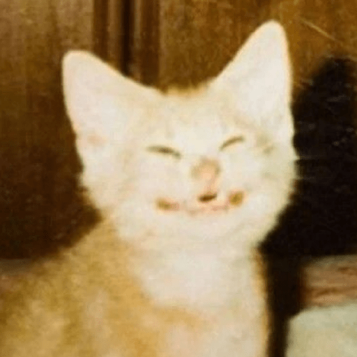 Kucing Random preview