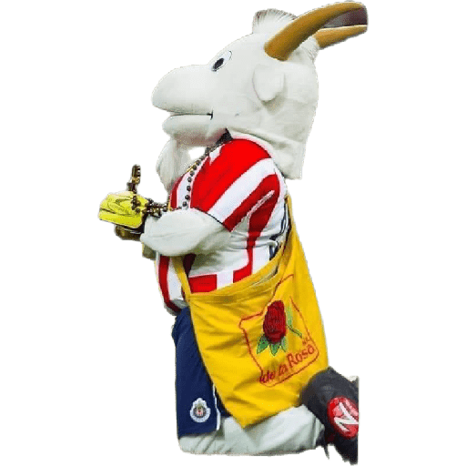Chivas preview