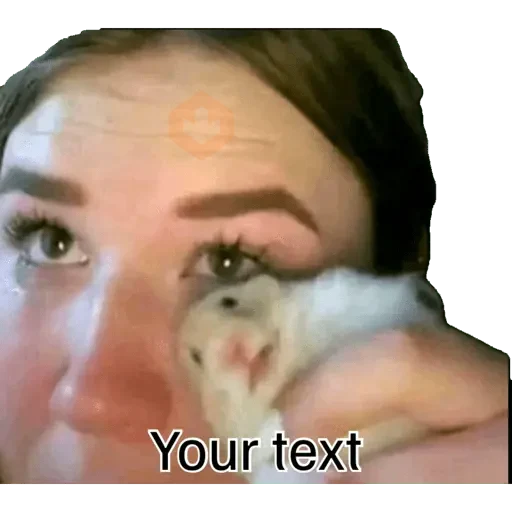 Memes sticker 20