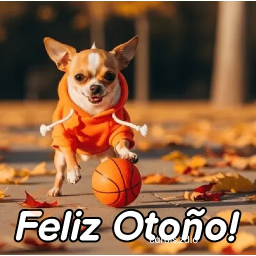 Otoño - Perritos funny 🍂🍁 sticker 11