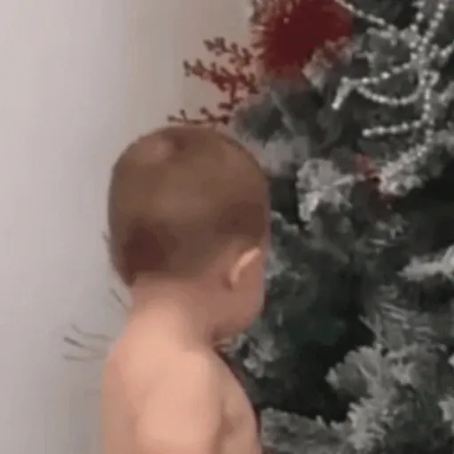 GIFs Bebês Engraçados 👶🏻 