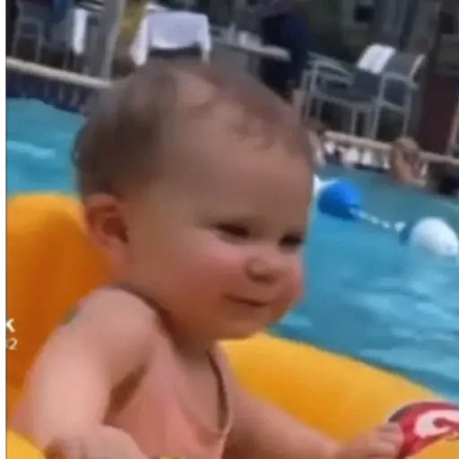 GIFs Bebês Engraçados 👶🏻 