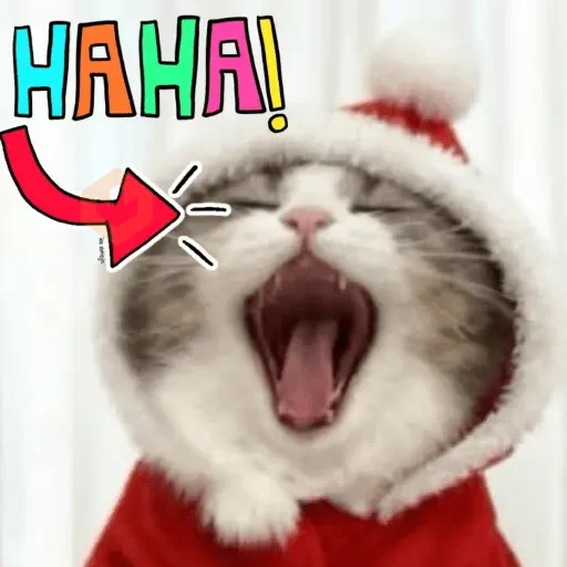 Año nuevo sticker 11
