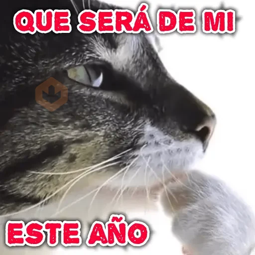 Año nuevo sticker 13