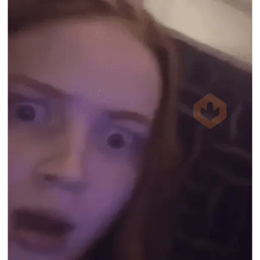 Stranger Things memes sticker 16