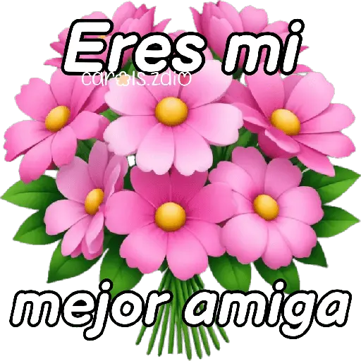 Amigas iphone emoji frases 🎀🩷