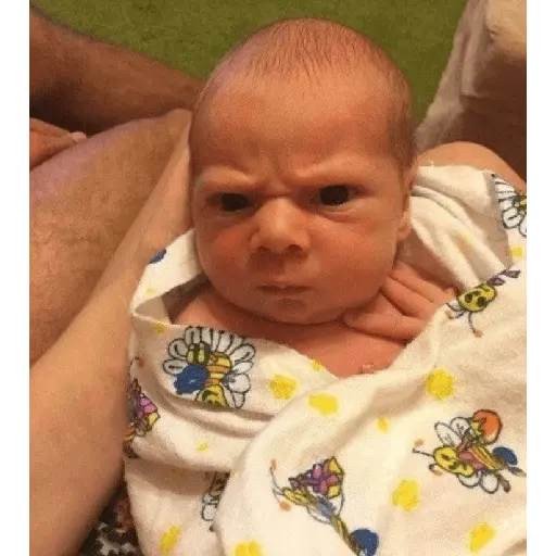 Bebês reações