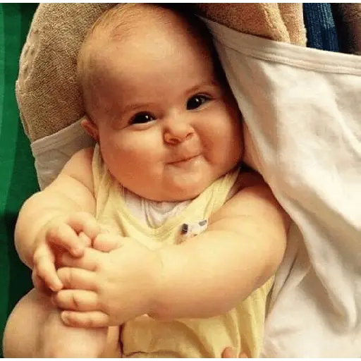 Bebês reações