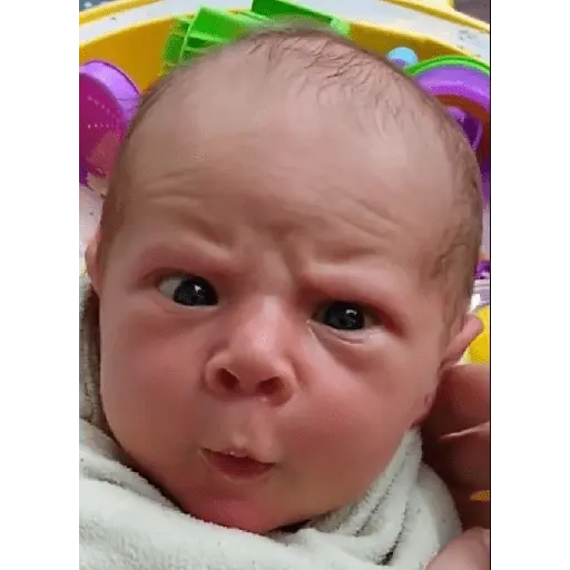 Bebês reações