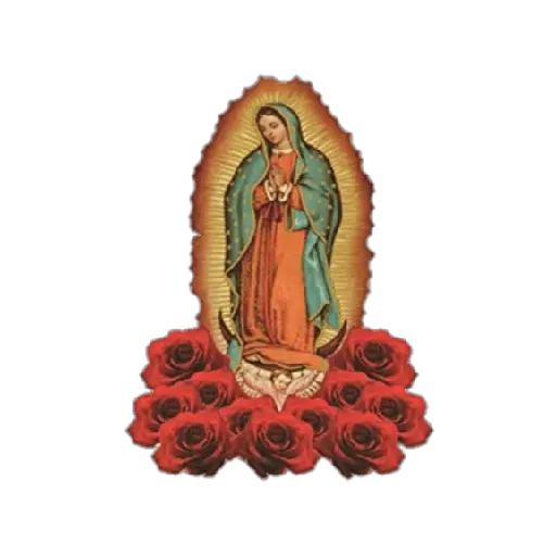 virgen de guadalupe/virgen 🇲🇽⛪️