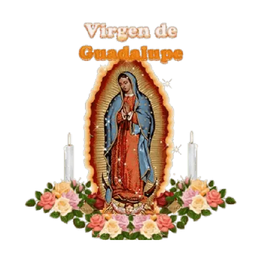 virgen de guadalupe/virgen 🇲🇽⛪️