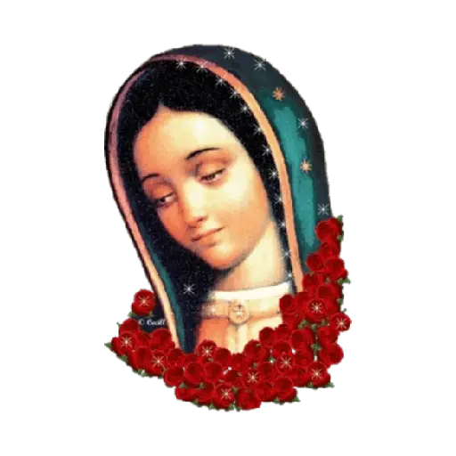 virgen de guadalupe/virgen 🇲🇽⛪️