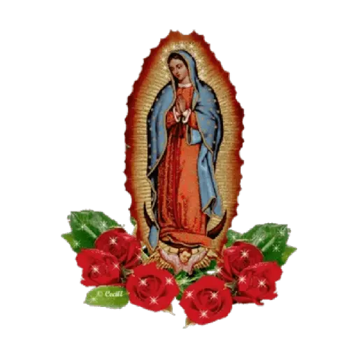 virgen de guadalupe/virgen 🇲🇽⛪️