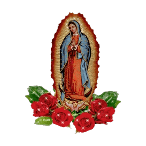 virgen de guadalupe/virgen 🇲🇽⛪️ preview