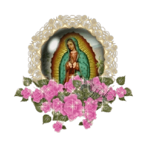virgen de guadalupe/virgen 🇲🇽⛪️ preview