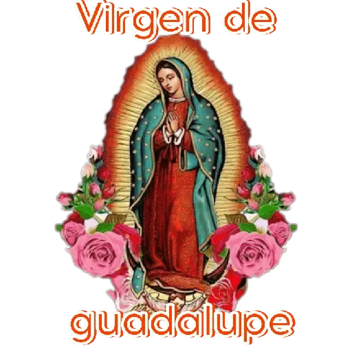 virgen de guadalupe/virgen 🇲🇽⛪️