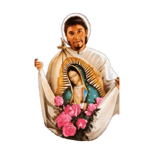 virgen de guadalupe/virgen 🇲🇽⛪️ preview