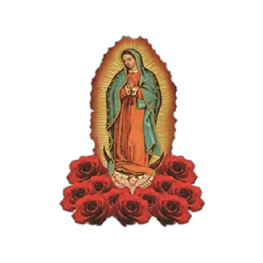 virgen de guadalupe/virgen 🇲🇽⛪️ preview