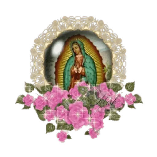 virgen de guadalupe/virgen 🇲🇽⛪️