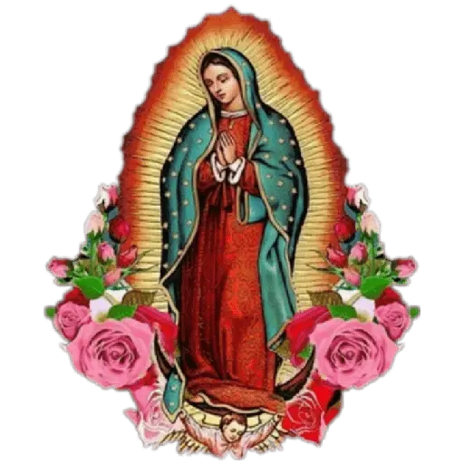virgen de guadalupe/virgen 🇲🇽⛪️