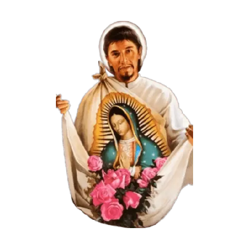 virgen de guadalupe/virgen 🇲🇽⛪️