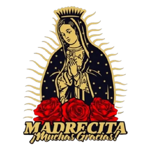 virgen de guadalupe/virgen 🇲🇽⛪️