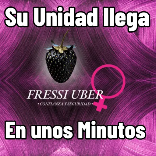 Stiker Fressi
