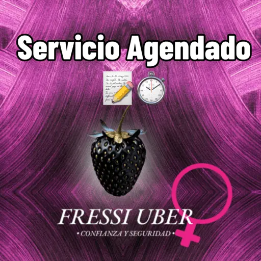 Stiker Fressi