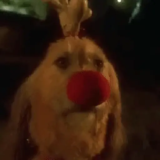 El Grinch 🎄