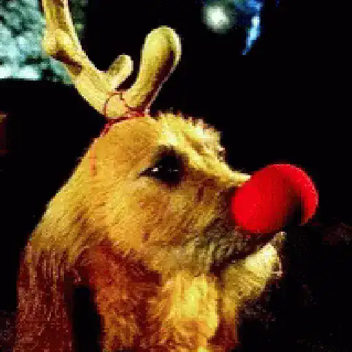 El Grinch 🎄