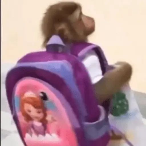 Niños 