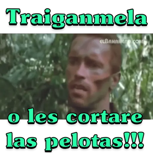 El bananero 3
