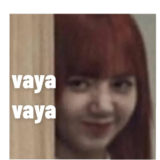 blackpink memes