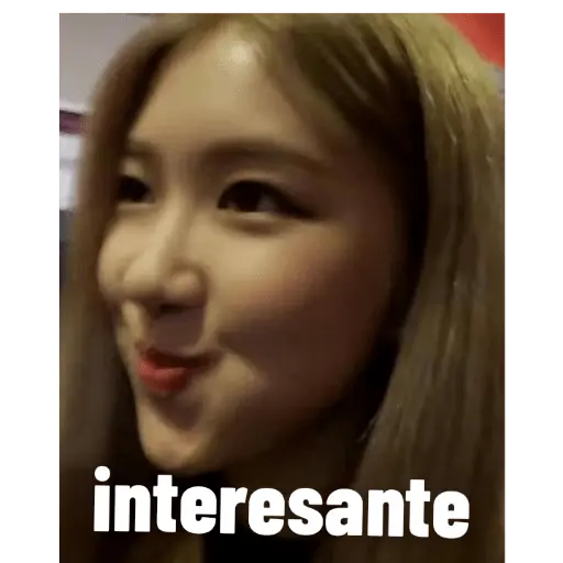 blackpink memes
