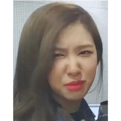 blackpink memes