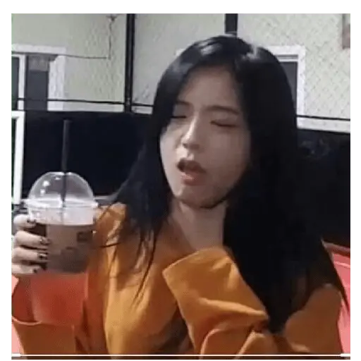 blackpink memes