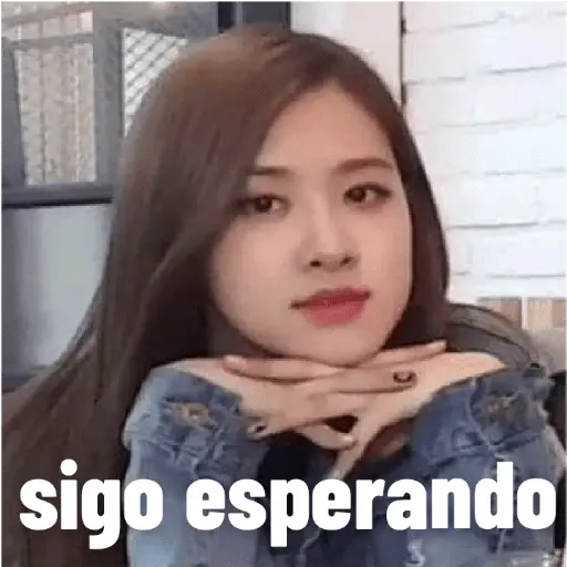 blackpink memes