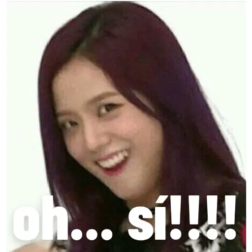 blackpink memes